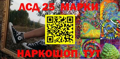 прущие грибы Севастополь
