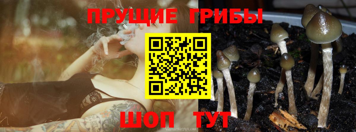 Омск  Галлюциногенные грибы MAGIC MUSHROOMS  Вход с VPN 